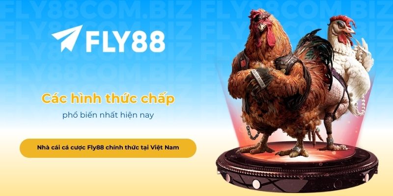 Các hình thức chấp phổ biến nhất hiện nay