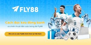 Cách đọc kèo đồng banh và chiến thuật đặt cược bóng đá Fly88