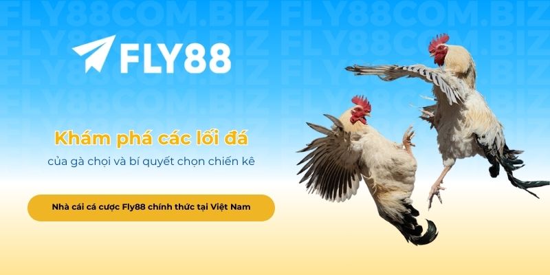 Khám phá các lối đá của gà chọi và bí quyết chọn chiến kê