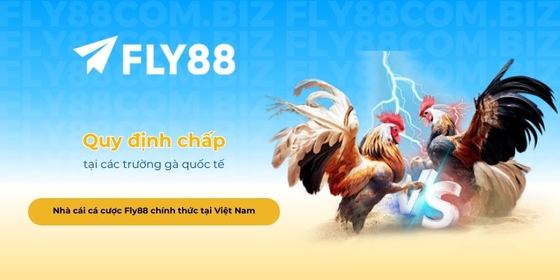 Quy định chấp tại các trường gà quốc tế