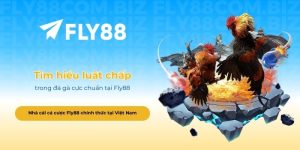 Tìm hiểu luật chấp trong đá gà cực chuẩn tại Fly88
